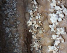 IMG_20200215_115605_0