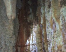 IMG_20200215_115616_0