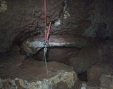 IMG_20200215_121531_5