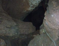 IMG_20200215_123529_9