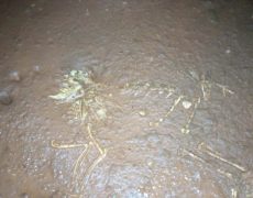 IMG_20200215_130846_8