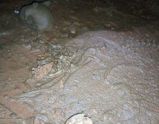 IMG_20200215_130904_2