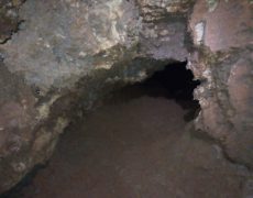 IMG_20200215_131709_3