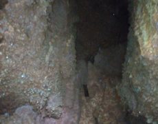 IMG_20200215_131716_1