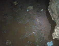 IMG_20200215_131725_4