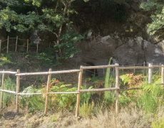IMG_20200828_082626
