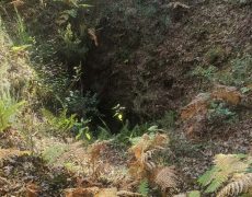 IMG_20200828_082659