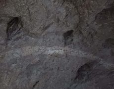 IMG_20200828_082750