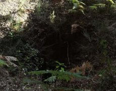IMG_20200828_082851