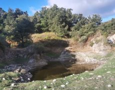 IMG_20200828_083610