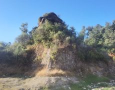 IMG_20200828_083615