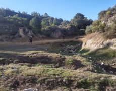 IMG_20200828_083646