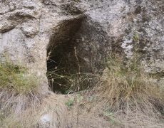 IMG_20200828_083832