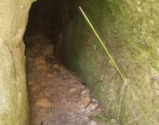 IMG_20200828_083856