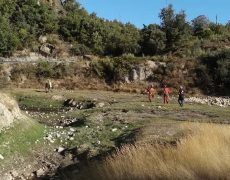 IMG_20200828_090613