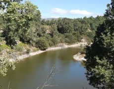 IMG_20200828_112819