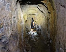 IMG_3103