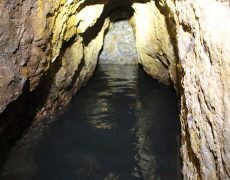 IMG_3152