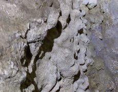 IMG_4013