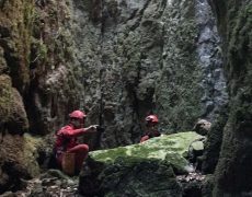 IMG_4016