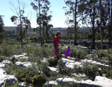 Figura 7 - Entrada do Algar do Belo Horizonte (Foto de Samuel Lopes - GEM/WIND)