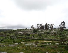 P5100721