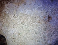PB070181s