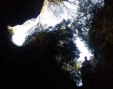 P_20171117_122822