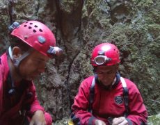 P_20171117_124326_BF