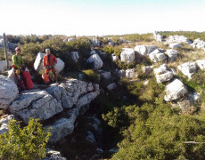 Figura 4 - Algar Alecrineiros II (Foto: António Afonso)