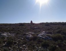 P_20171117_132103