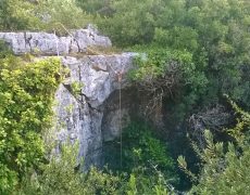 WP_20180720_18_13_38_Pro