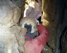 WP_20180904_12_13_42_Pro