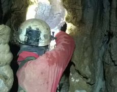 WP_20180904_12_14_03_Pro