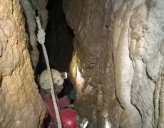 WP_20180904_14_06_26_Pro