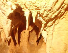 WhatsApp Image 2020-09-09 at 18.52.31 (1)