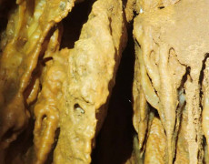 WhatsApp Image 2020-09-09 at 18.52.31 (3)