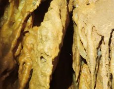 WhatsApp Image 2020-09-09 at 18.52.31 (3)