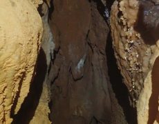 WhatsApp Image 2020-09-09 at 18.52.31