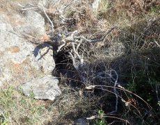 WhatsApp Image 2020-09-09 at 18.52.32