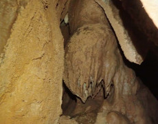 WhatsApp Image 2020-09-09 at 18.52.33 (1)