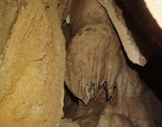 WhatsApp Image 2020-09-09 at 18.52.33 (1)