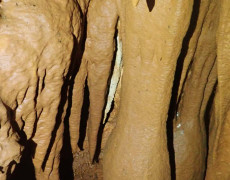 WhatsApp Image 2020-09-09 at 18.52.33