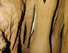 WhatsApp Image 2020-09-09 at 18.52.33