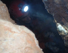 WhatsApp Image 2020-09-09 at 18.52.36 (1)