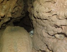 WhatsApp Image 2020-09-09 at 18.52.36