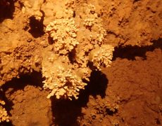 WhatsApp Image 2020-09-09 at 18.52.37