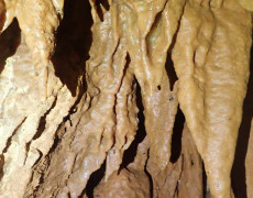 WhatsApp Image 2020-09-09 at 18.52.38