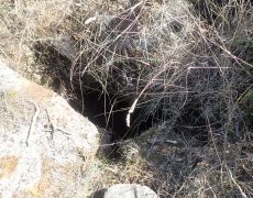 WhatsApp Image 2020-09-09 at 18.52.39