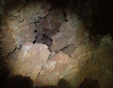 WhatsApp Image 2020-09-09 at 18.53.20